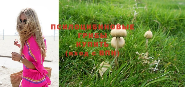 не бодяженный Михайловск