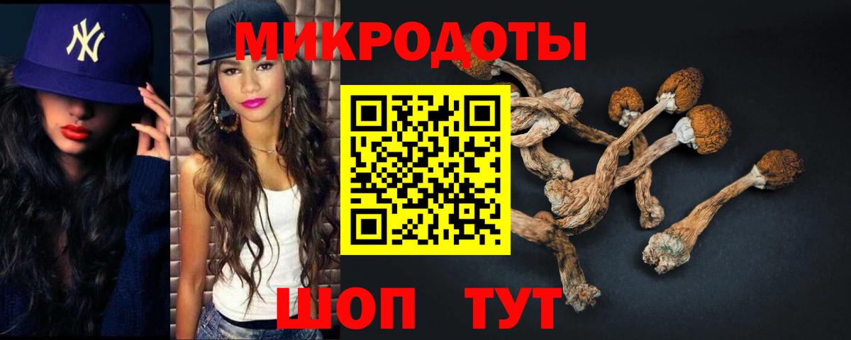 Псилоцибиновые грибы Magic Shrooms  купить наркотик  Вход с VPN  Геленджик  Псилоцибиновые грибы Psilocybine cubensis 