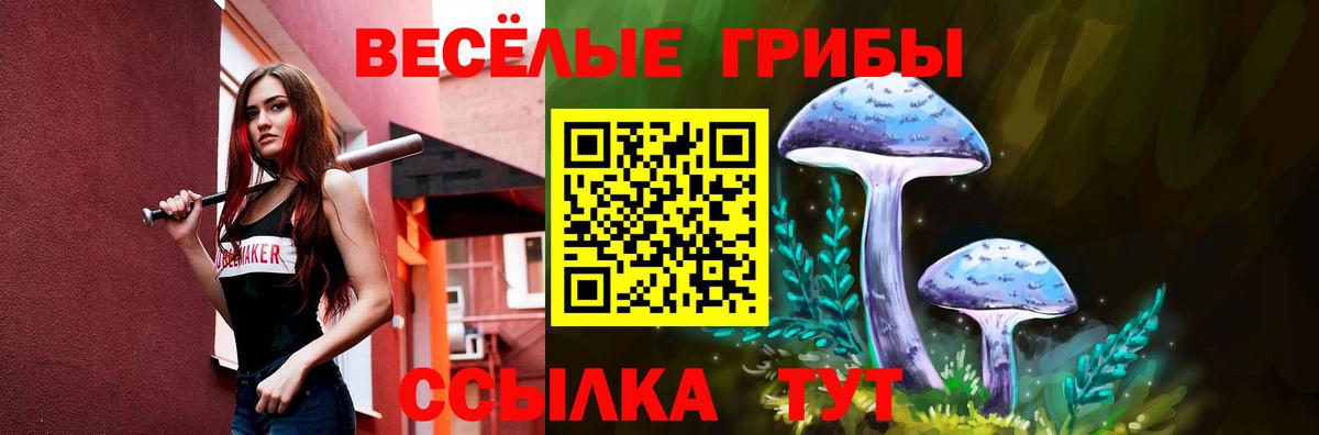 Галлюциногенные грибы мухоморы Геленджик